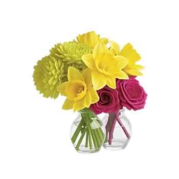 Petal Radiance Bliss