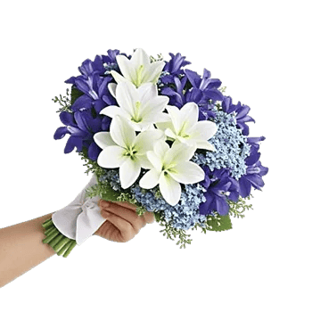 Blossom Petal Serenity