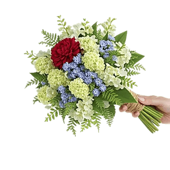 Delicate Petal Cascade