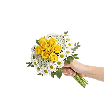 Blossom Harmony Display