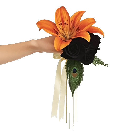 Ivory Blossom Radiance