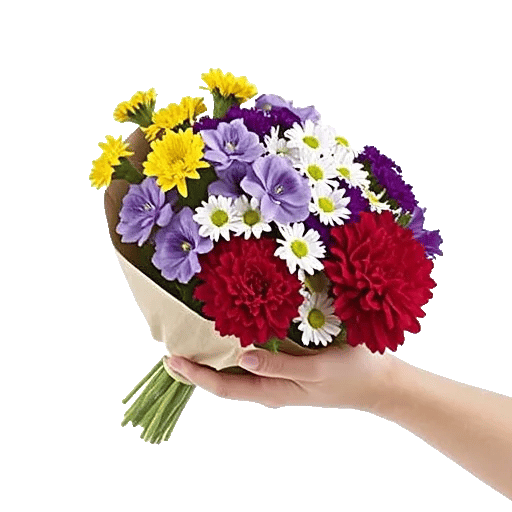 Petal Harmony Bliss
