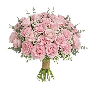 Pastel Pink Roses