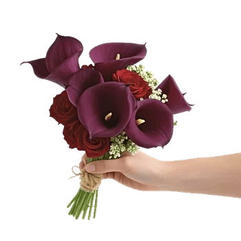 Elegant Calla Lilies