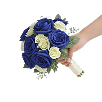 Elegant Blue Roses