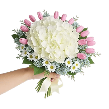 Serene Petal Harmony