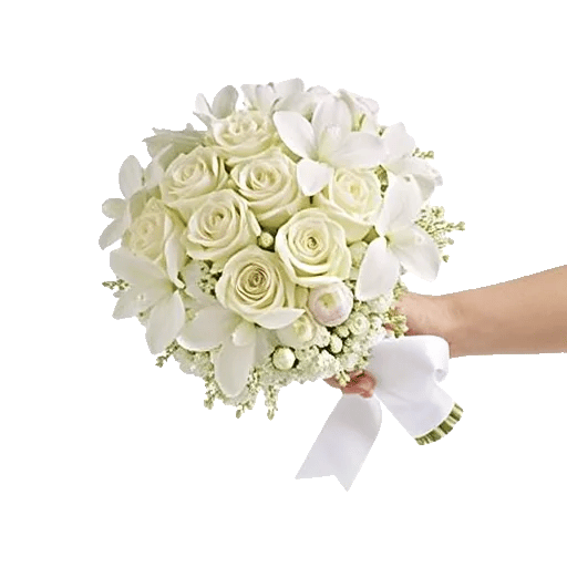 Modern White Orchids