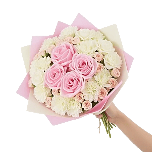 Pastel Pink Roses