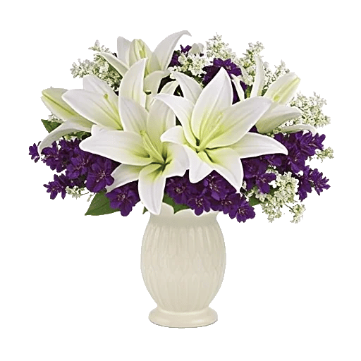 Ivory Blossom Radiance