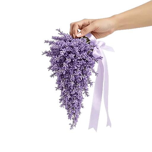 Lavender Bloom Grace