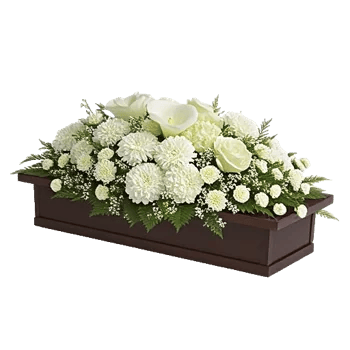 Elegant Calla Lilies