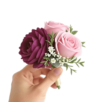 Plum Blossom Radiance