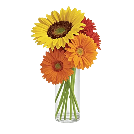 Radiant Bloom Cascade