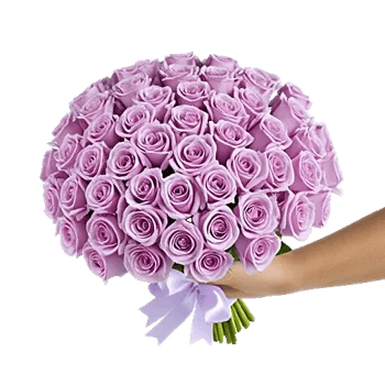 Rosemary Bloom Elegance