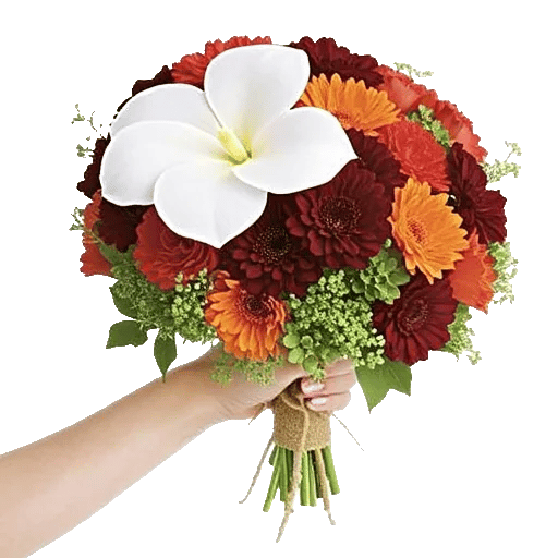 Delicate Petal Cascade