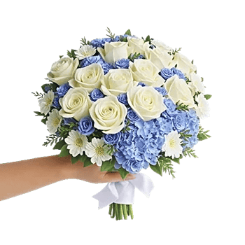 Serene Petal Harmony