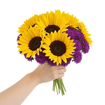 Twinkling Sunflower Dance