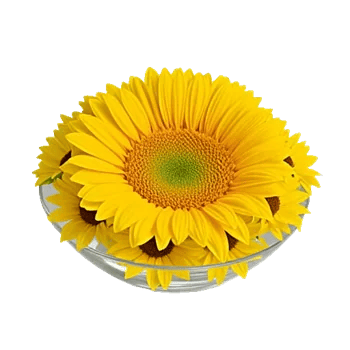 Golden Sunflower Bouquet