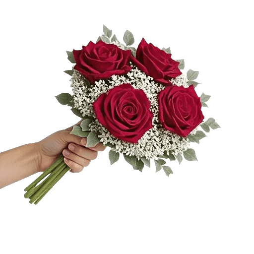 Crimson Rose Elegance