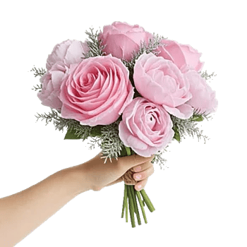 Pastel Pink Roses