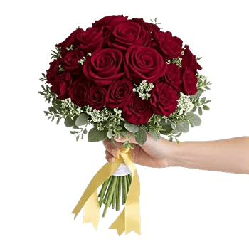 Crimson Rose Elegance