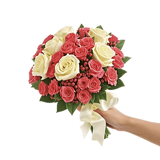 Pastel Pink Roses