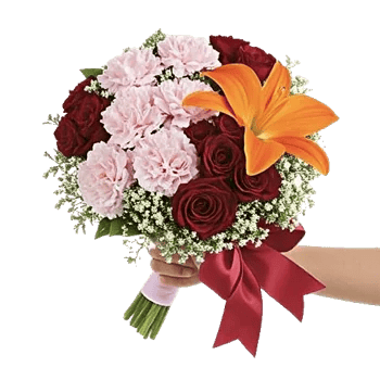 Blushing Rose Symphony