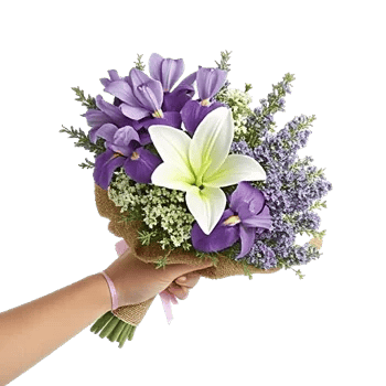 Blossom Harmony Display