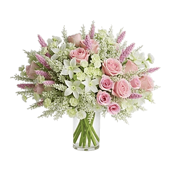 Ivory Blossom Radiance