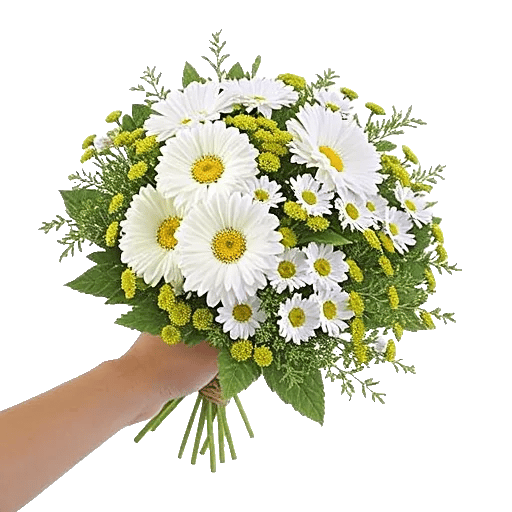 Ivory Garden Grace
