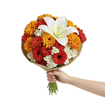 Blossom Harmony Display