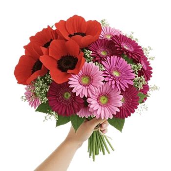 Blossom Petal Serenity