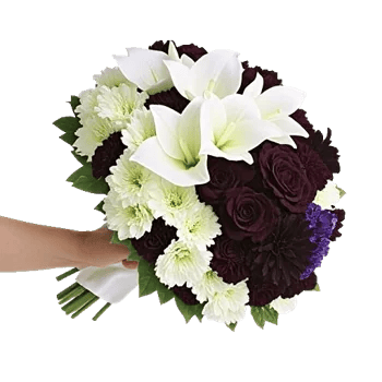 Delicate Petal Cascade