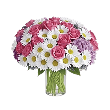 Petal Radiance Bliss