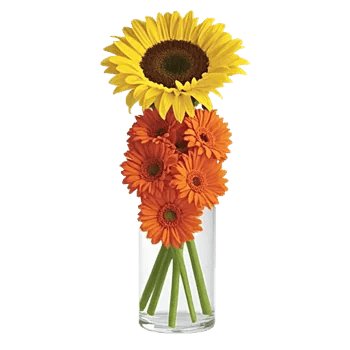 Radiant Bloom Cascade