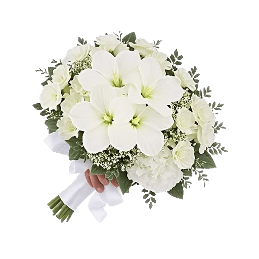 Ivory Garden Grace