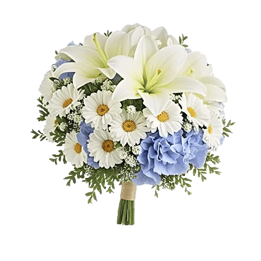 Ivory Blossom Radiance