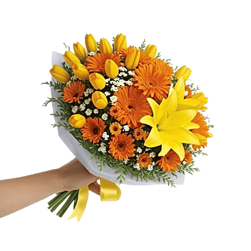 Blossom Harmony Display