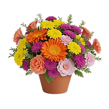 Vibrant Orange Delight