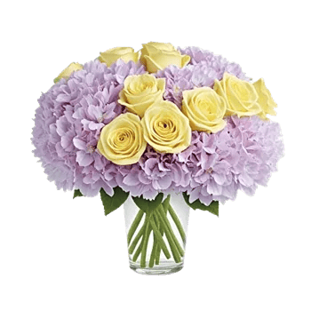 Ivory Blossom Radiance