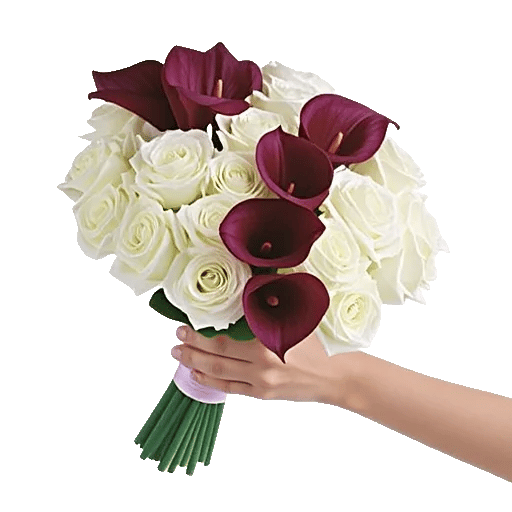 Elegant Calla Lilies