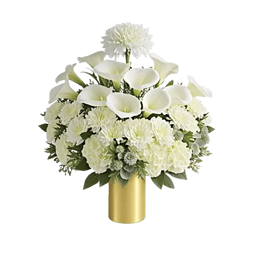 Elegant Calla Lilies