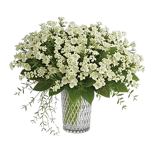 Ivory Blossom Radiance