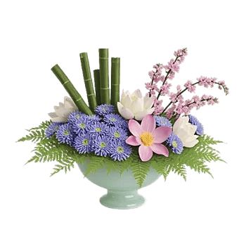 Serenity Orchid Bloom