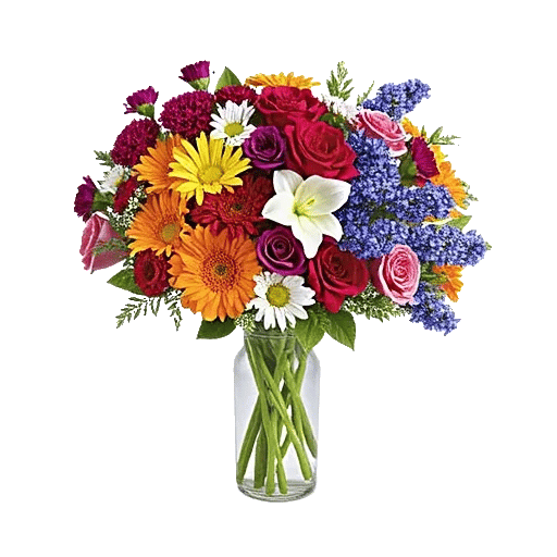 Ivory Blossom Radiance