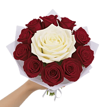 Blushing Rose Symphony