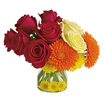 Petal Radiance Bliss