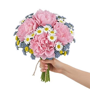 Serene Petal Harmony