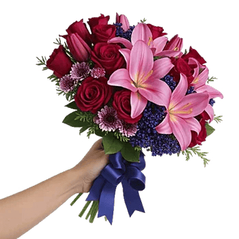 Fuchsia Garden Sparkle