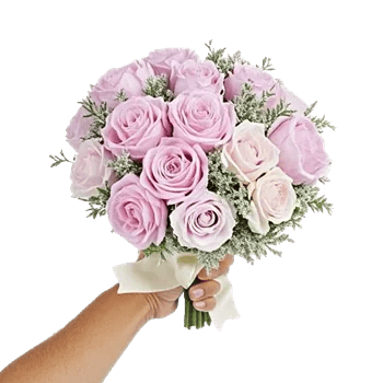 Pastel Pink Roses